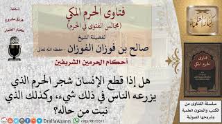 صورة ما حكم قطع أشجار الحرم سواءً زرعها الناس أو نبتت من المطر؟ للشيخ صالح الفوزان