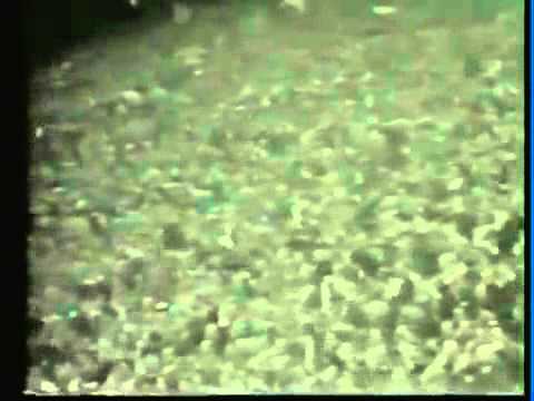 QEuro 1968 Group 4 Yugoslavia - West Germany (03.05.1967)