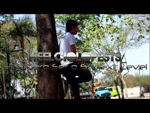 @heelciolopesTS_ - Agressive Reaction [FREE STEP]