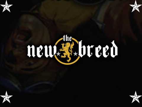 New Breed Ft, Flo Rida & Pleasure P - One Night (Remix) [New 2009]