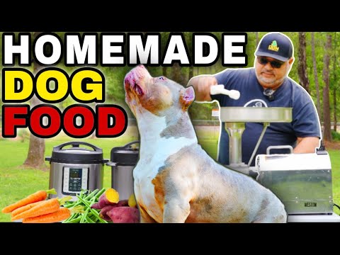Homemade Dog Food Recipe for Saving Money and Time