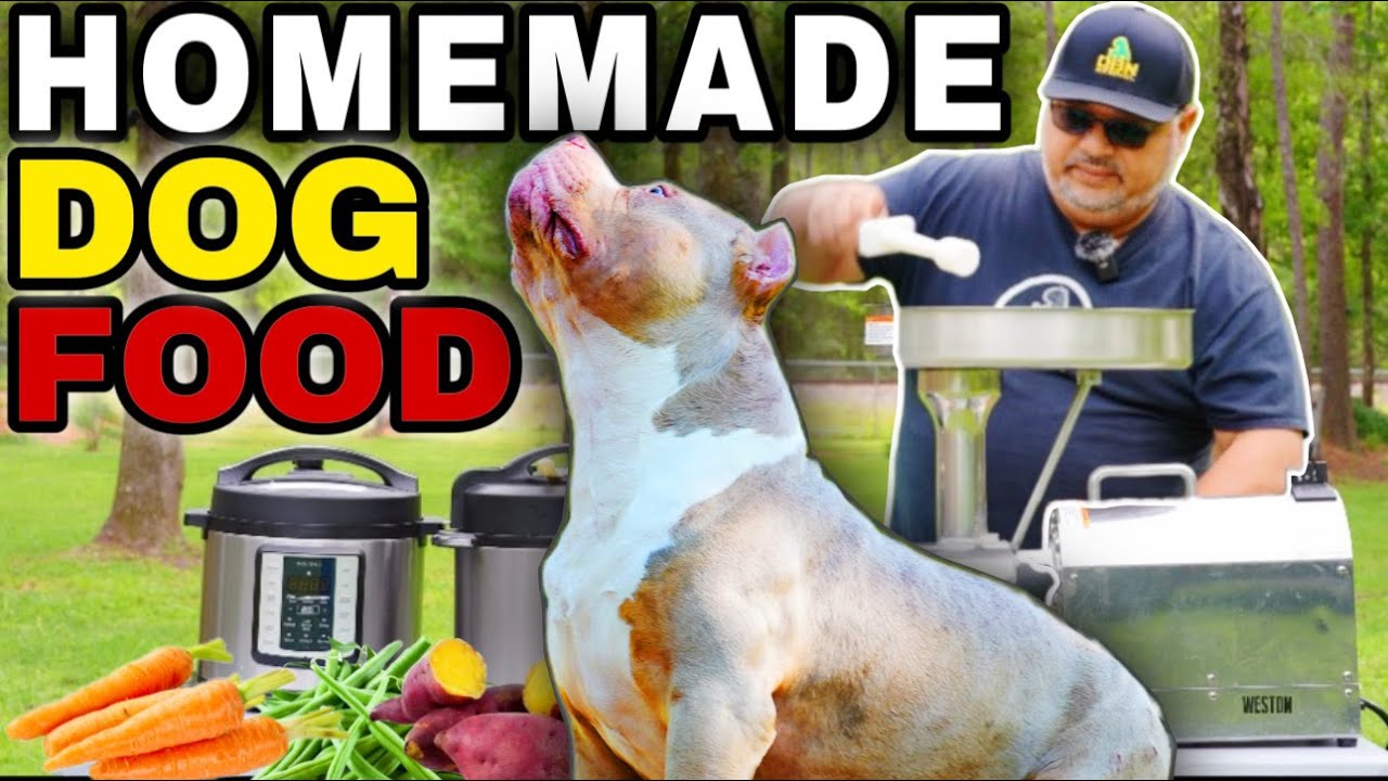Homemade Dog Food Recipe for Saving Money and Time | American Bully