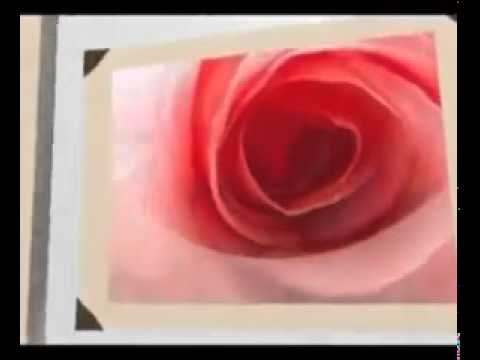 Efendimizi Sevip Örnek Almalıyız