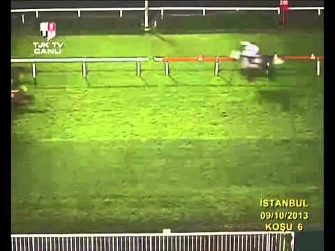 İstanbul Kosusu TJK Tahmin 09-10-2013