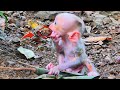 Ah Looking The Best Cutie Sweetie Parker Chewing Something As His Yummy Food Really Funny