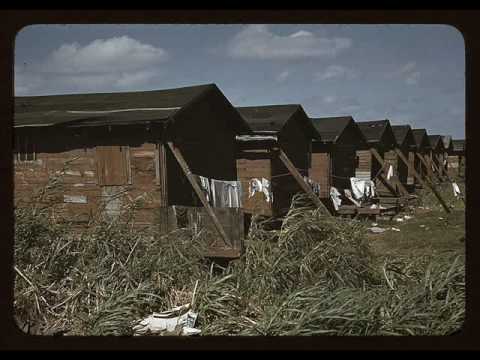 vincenzina e la fabbrica