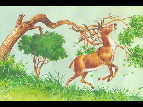 Ошибка оленя. Басня по мотивам басен Эзопа в пересказе Е. Каргановой.