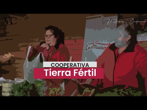 🥬✨ Desde Los Muermos, la cooperativa de Mujeres Tierra Fértil cultiva mucho más que verduras