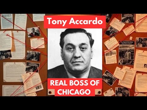 Tony Accardo: The Man Who Outsmarted the Law | Full Mafia Documentary