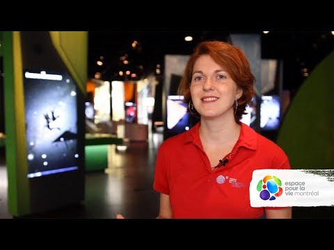 The job of a Science Guide at the Planétarium