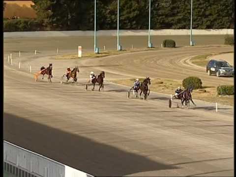 Taranto - Ippodromo Paolo VI. Corsa proprietari del 07/02/2017