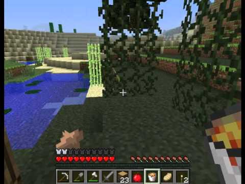 Opa spielt Minecraft 037 - Eine Panne und Dschungelgedanken