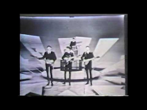 Beatlemania's 20th Anniversary (1984)