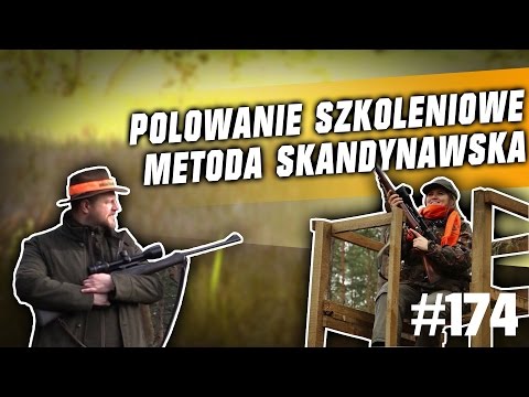 Darz Bór odc. 174 - Polowanie szkoleniowe metodą skandynawską