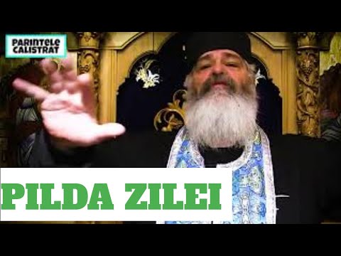 DE CE ESTE ATÂTA SUFERINȚĂ PE PĂMÂNT - Parintele Calistrat