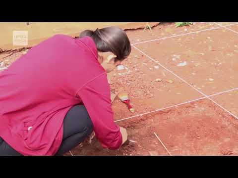 UFGD Ciência 15/2018 - Professor Rodrigo Luiz Simas de Aguiar