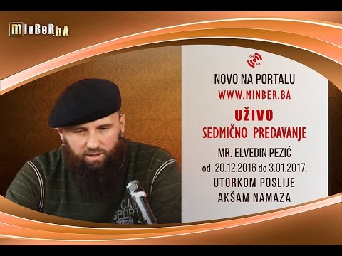 Daija između kritike, potvore i pohvale - Elvedin Pezić prof.