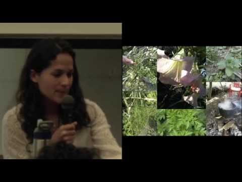 AYA2014 - Celina M. De Leon. The New Frontier of Ayahuasca Healing Centers