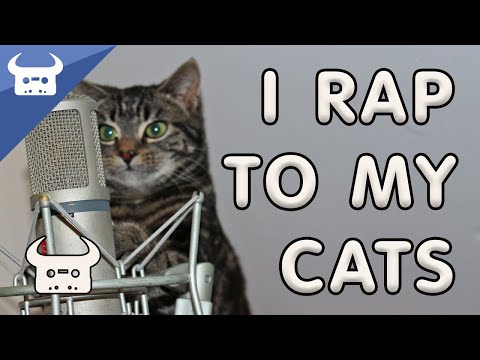Video thumbnail for Stroking a Cat