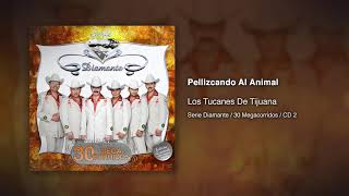 Pellizcando Al Animal - Los Tucanes De Tijuana [Audio Oficial]