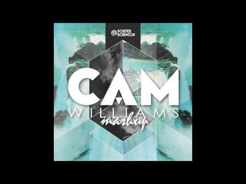 Porter Robinson vs. Dash Berlin - Language In Your Heart (cam williams mashup)