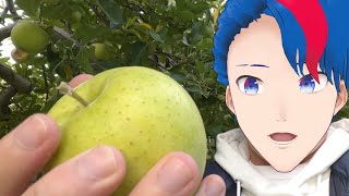 りんごもぎ体験してきた！！