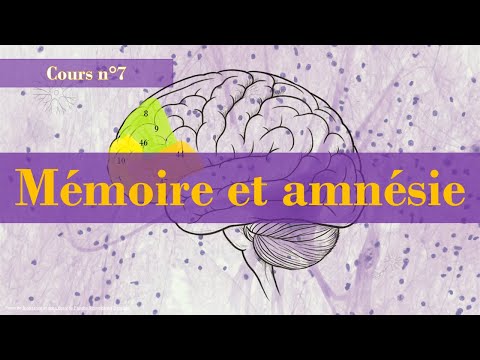 Neuropsychologie - Cours n°7 : Mémoire et amnésie