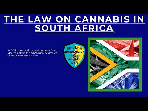 Cannabis Laws in South Africa 2025: What You Must Know to Stay Legal & Thrive