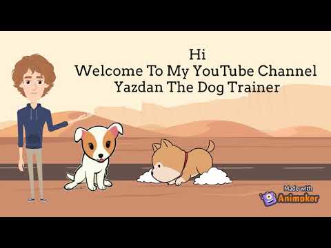 Yazdan The Dog Trainer