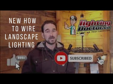How to Wire Low Voltage Landscape Lighting (2021 Update)