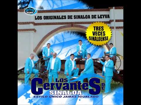 2012 Los Cervantes de Sinaloa/ palomita pecho Blanco
