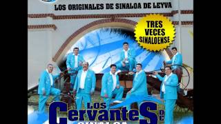 2012 Los Cervantes de Sinaloa/ palomita pecho Blanco