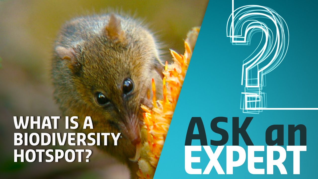 What are biodiversity hotspots, and why are they important? | Ask An Expert