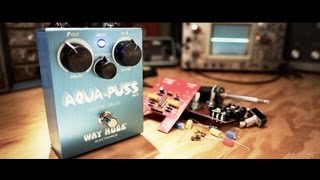 Way Huge Aqua-Puss Analog Delay