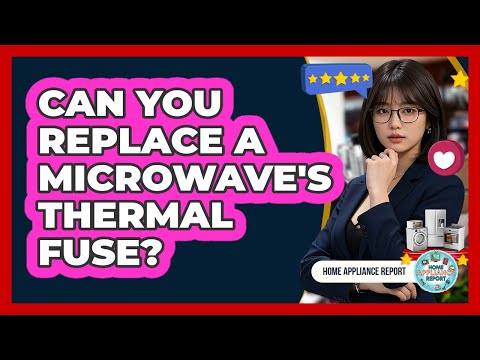 Can You Replace A Microwave's Thermal Fuse?