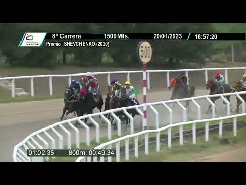 230120 c08 - LORD OAK - HIPODROMO LAS PIEDRAS