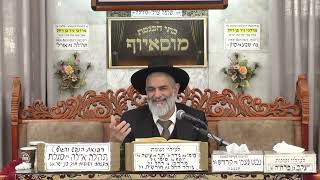 הרב יגאל כהן   •  פרשת בשלח תשפ'ו (בית הכנסת מוסאיוף - ערוץ חדש) - התמונה מוצגת ישירות מתוך אתר האינטרנט יוטיוב. זכויות היוצרים בתמונה שייכות ליוצרה. קישור קרדיט למקור התוכן נמצא בתוך דף הסרטון