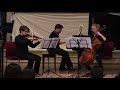 Beethoven - Piano Trio in C minor, Opus 1, #3, IV. Finale. Prestissimo