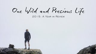 One Wild and Precious Life | A Look Back at 2015