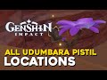 Genshin Impact All Udumbara Pistil Locations