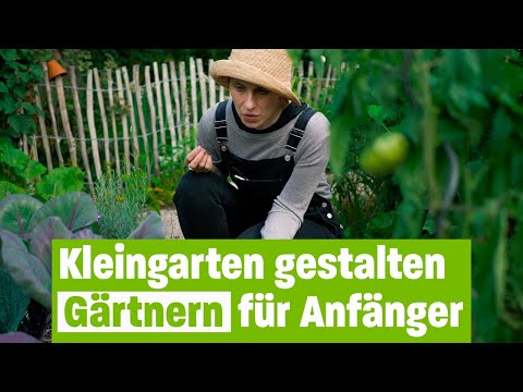 Gartenbewässerung und Gemüseanbau im Kleingarten