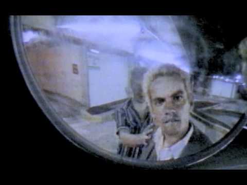 the feelers - supersystem (video version)