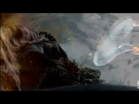 Top 10 Ship Arrivals and Reveals Part 1