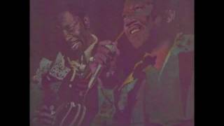 B.B. King & Bobby 'Blue' Bland - I Like To Live The Love