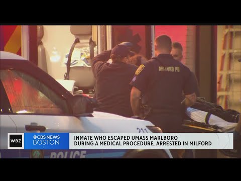 Escaped domestic violence suspect back in custody in Marlboro