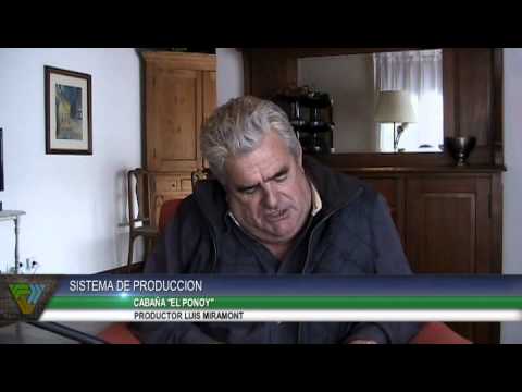 Cabañasbovinas.com - Visita a El Ponoy