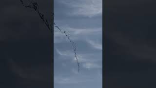 Quando o pipeiro lança o quadrado gigante x zao #Shorts