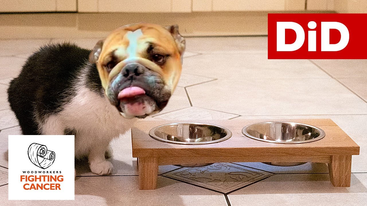 906. Stolik pod miski dla psów (i nie tylko) - WFC 2019