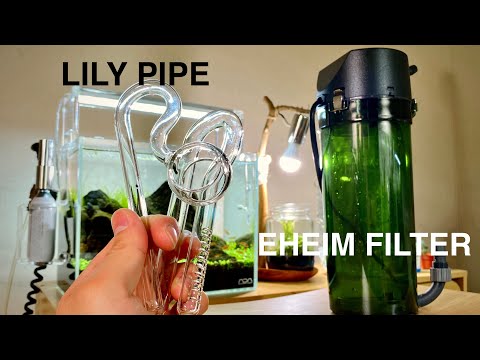EHEIM FILTER＋ADA LILY PIPE: A MINIMAL CANISTER FILTER SETUP TUTORIAL