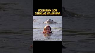 Download lagu GADIS TIDAK SADAR BERENANG DI TEMPAT BUAYA BESAR #alurceritafilm #film mp3